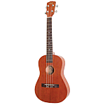 click to view this item