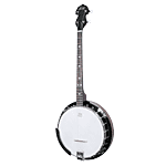 click to view this item